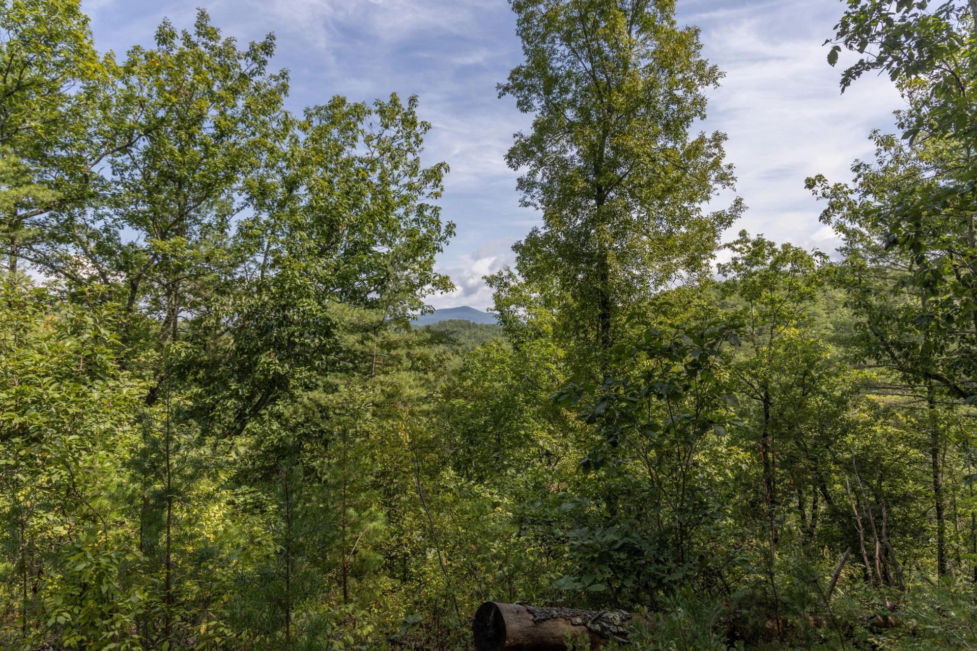 0 Crooked Spur Rd - Photo 40
