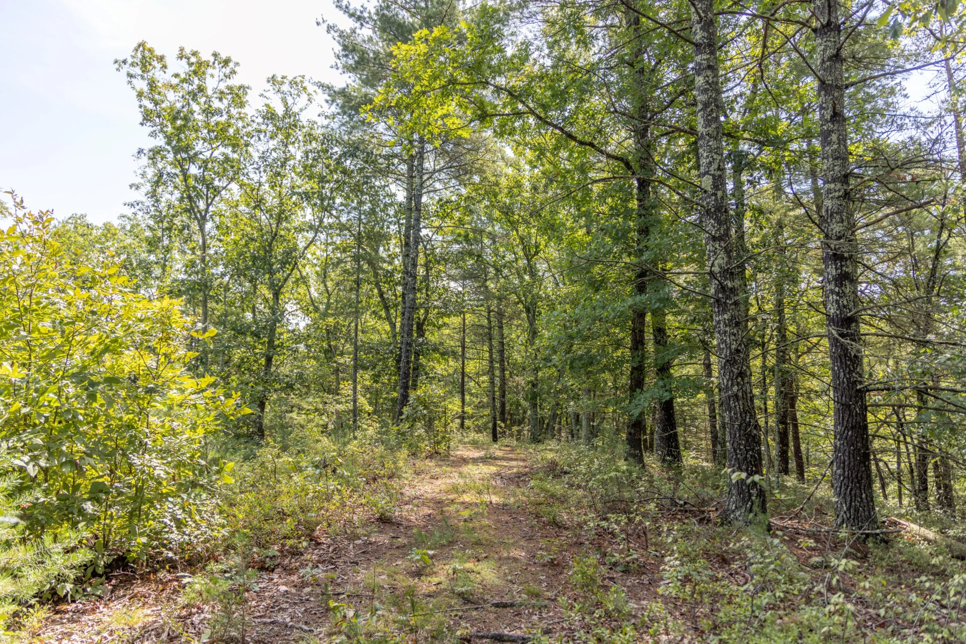 0 Crooked Spur Rd - Photo 41
