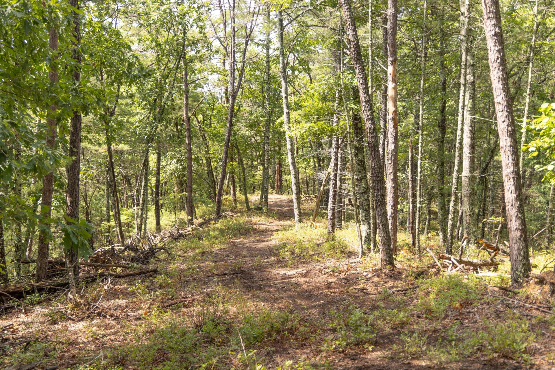 0 Crooked Spur Rd - Photo 42