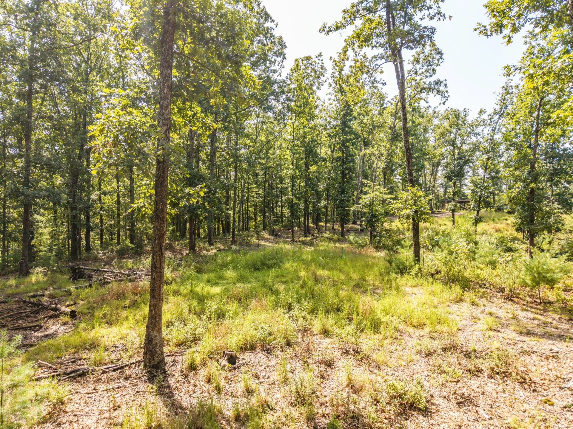 0 Crooked Spur Rd - Photo 48
