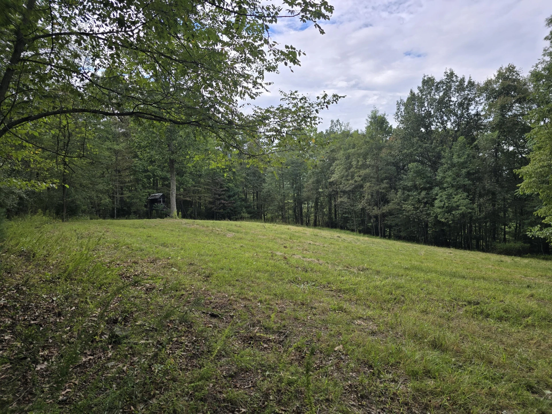 2083 Dry Run Rd - Photo 10