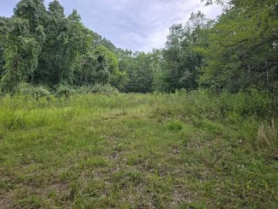 2083 Dry Run Rd - Photo 11