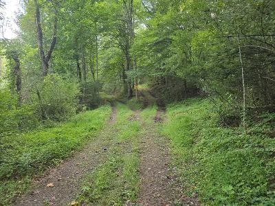 2083 Dry Run Rd - Photo 19