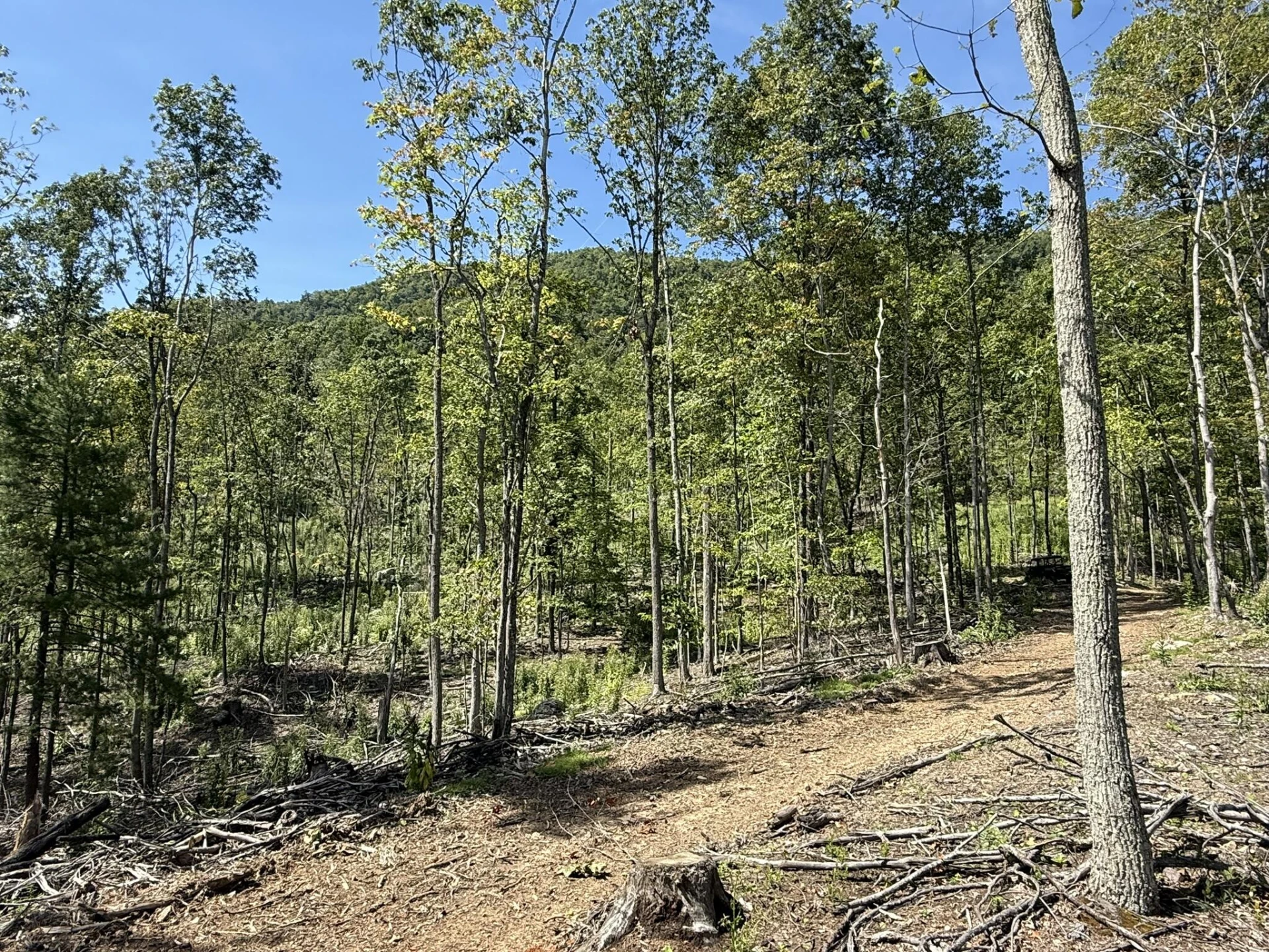 TBD Honey Hollow Rd - Photo 6
