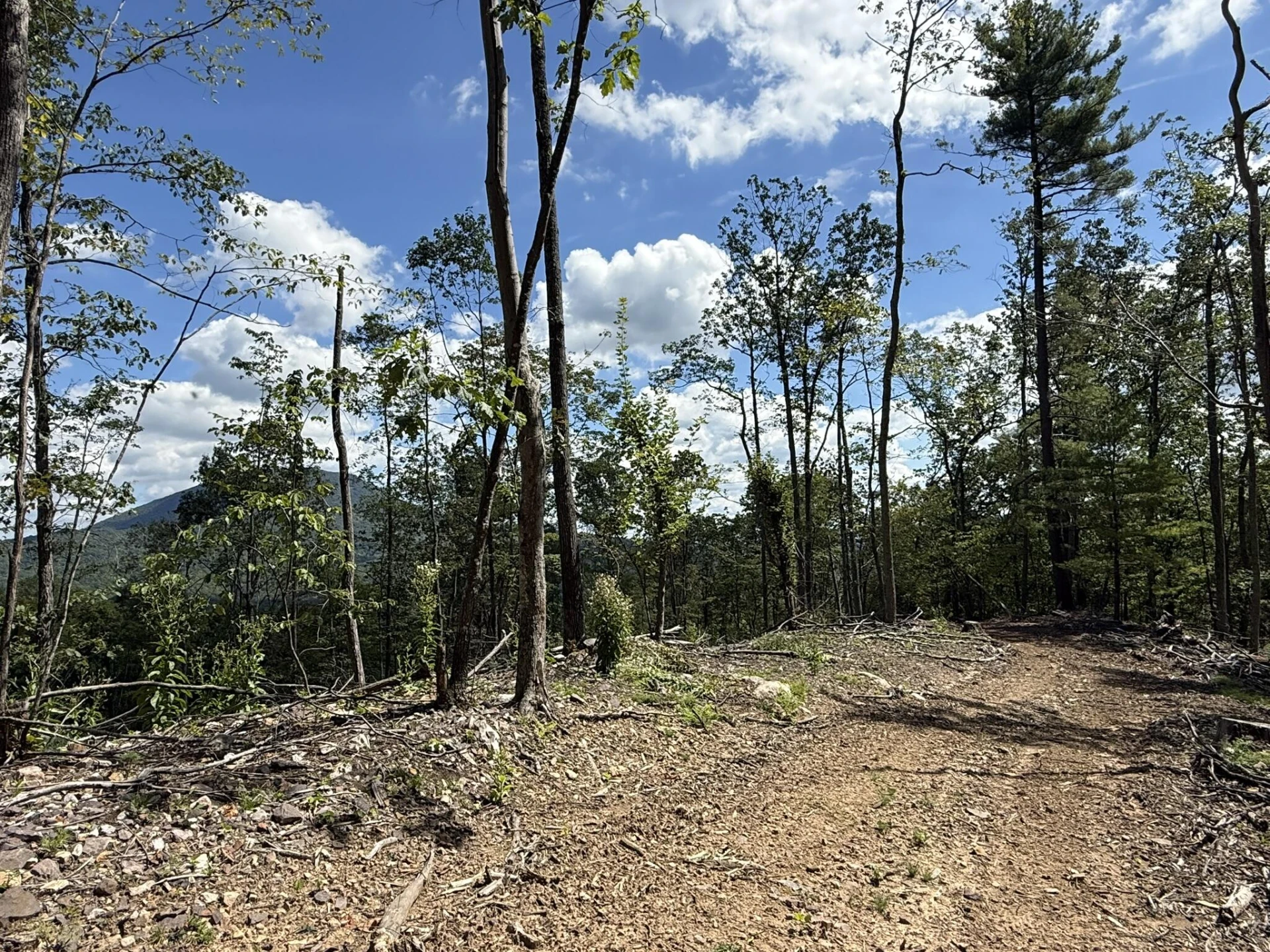 TBD Honey Hollow Rd - Photo 8