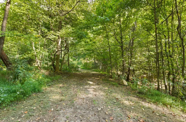 TBD S LONG BRANCH Ln, Lexington, VA, 24450