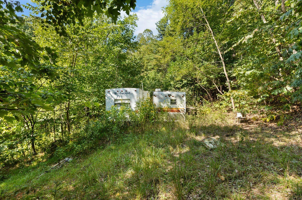TBD S LONG BRANCH Ln - Photo 3