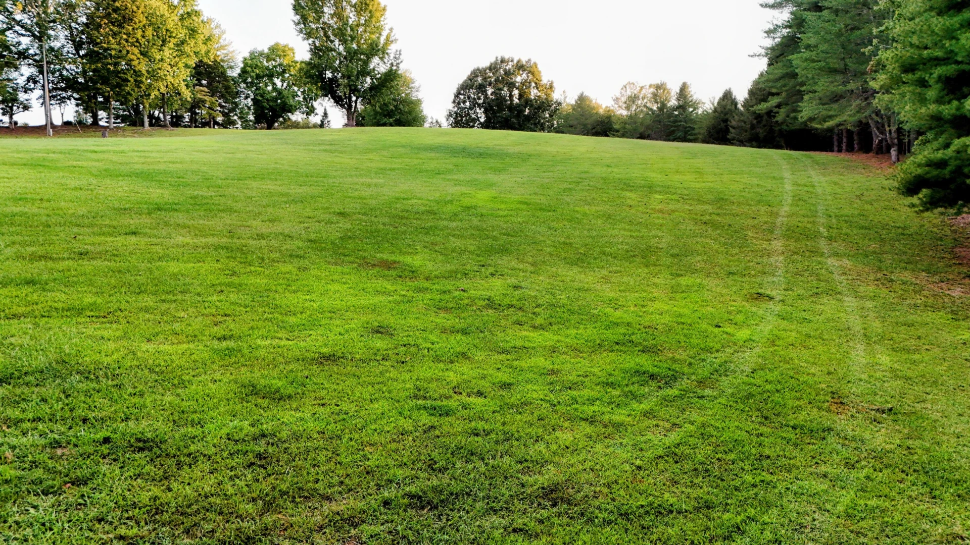 TBD Reese Ridge Ln - Photo 3