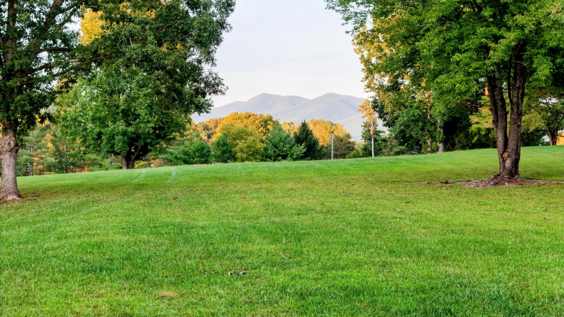 TBD Reese Ridge Ln - Photo 7