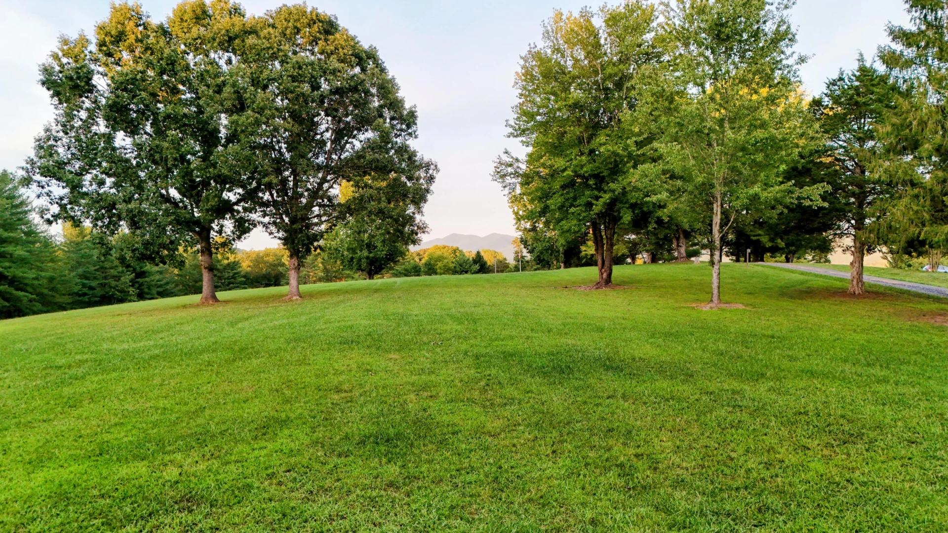 TBD Reese Ridge Ln - Photo 8