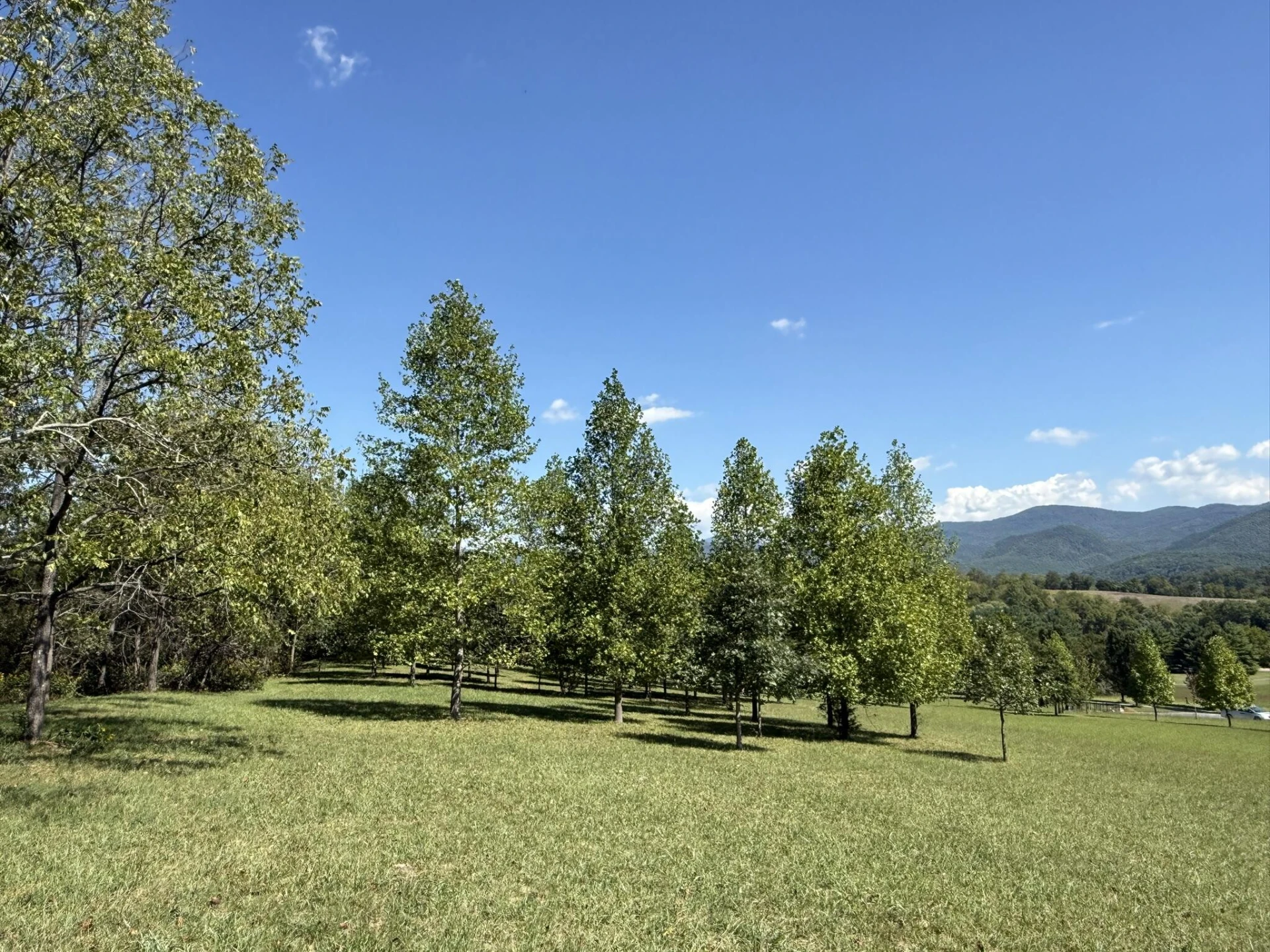 Lot 5 - Forge Hill Ln - Photo 6