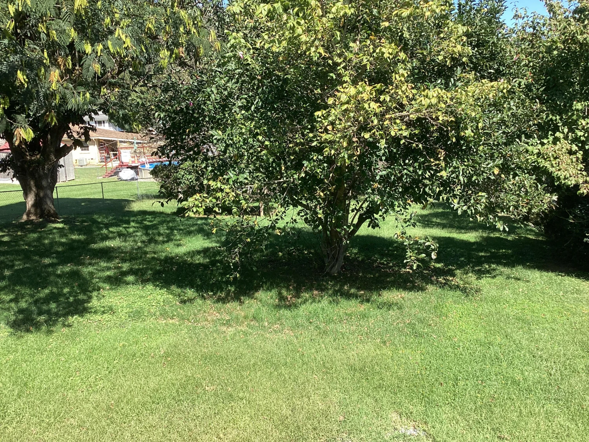 519 Bird Farm Rd - Photo 28