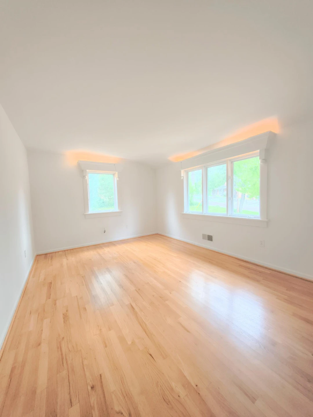 505 PICKETT St - Photo 20