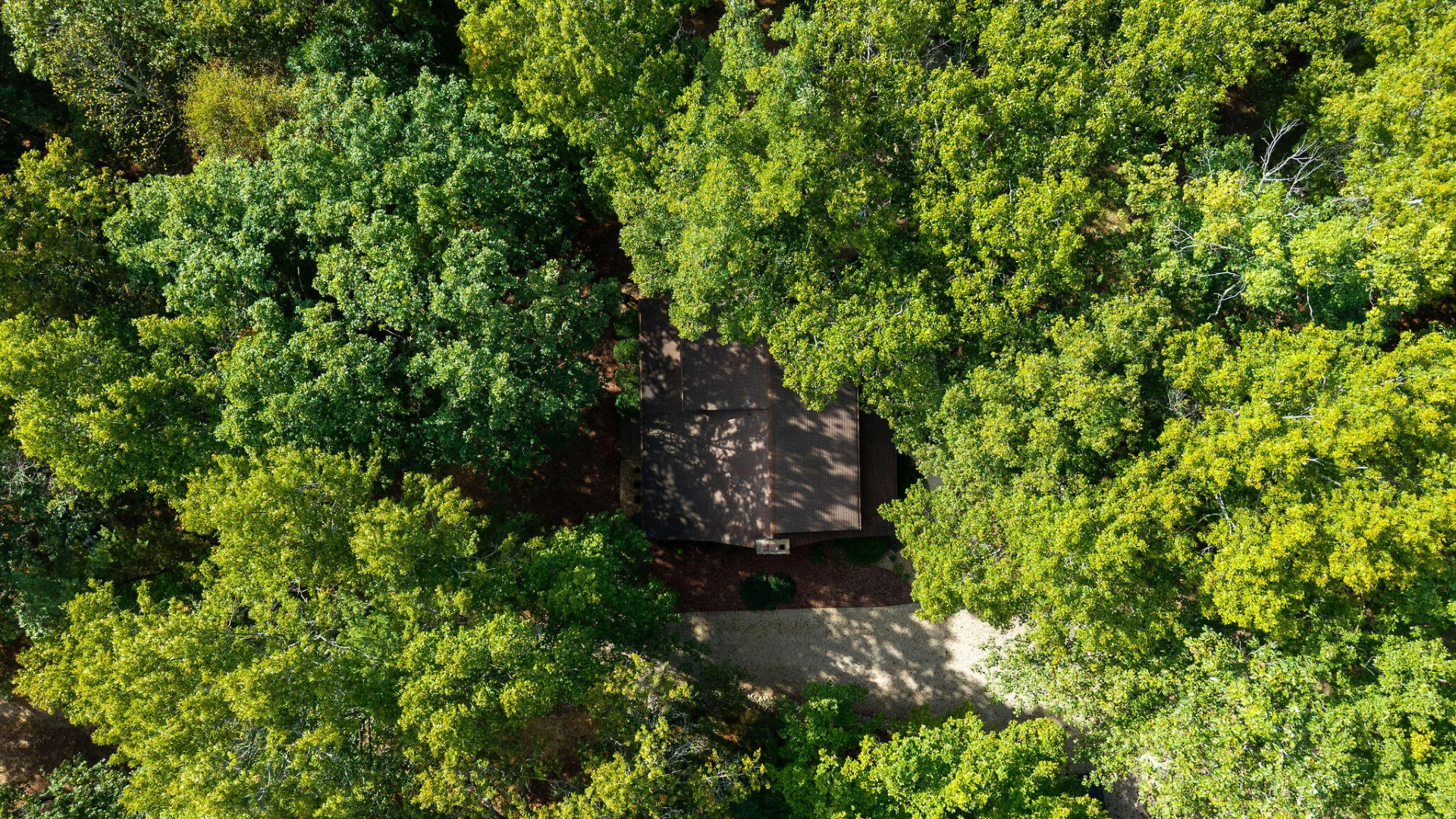 115 Melody Ln - Photo 52
