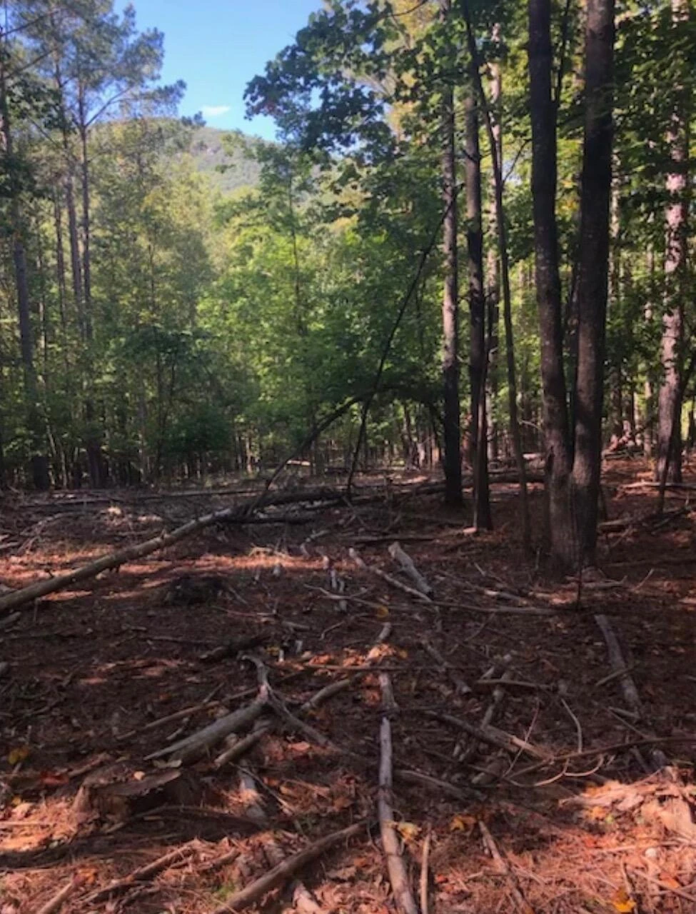 0000 Plank Rd - Photo 2
