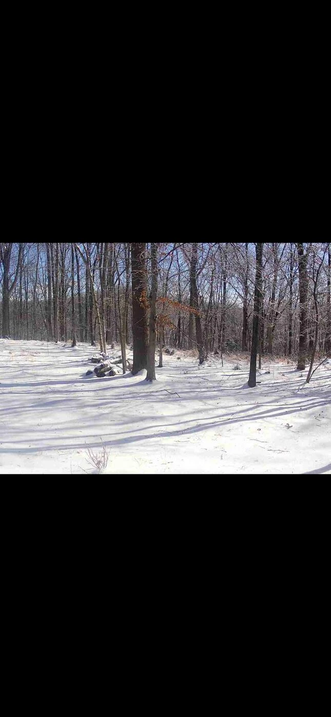 0000 Plank Rd - Photo 3