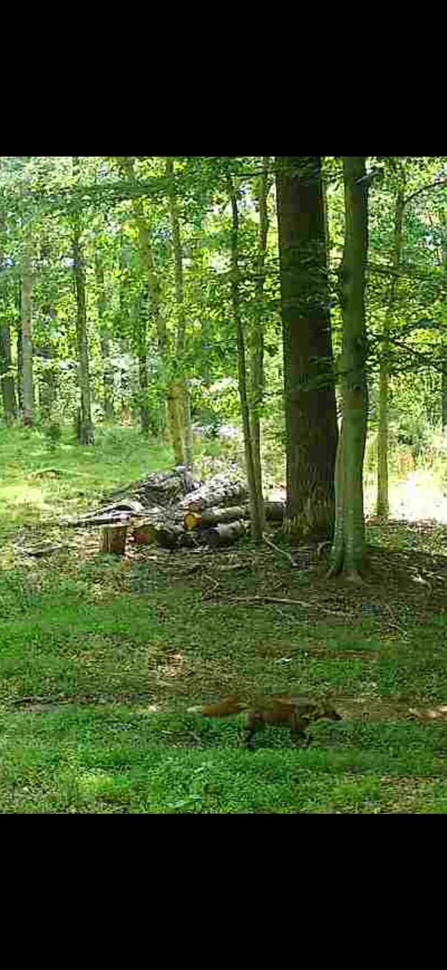0000 Plank Rd - Photo 5