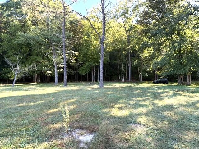 4603 Johnson Creek Rd - Photo 21