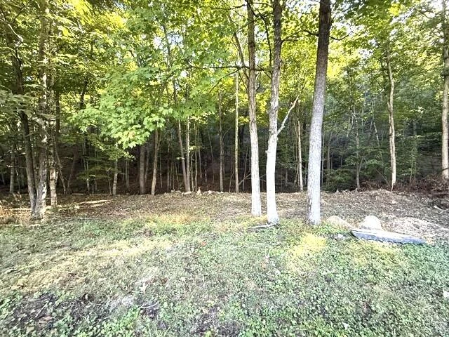 4603 Johnson Creek Rd - Photo 22