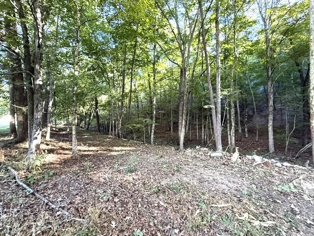 4603 Johnson Creek Rd - Photo 24