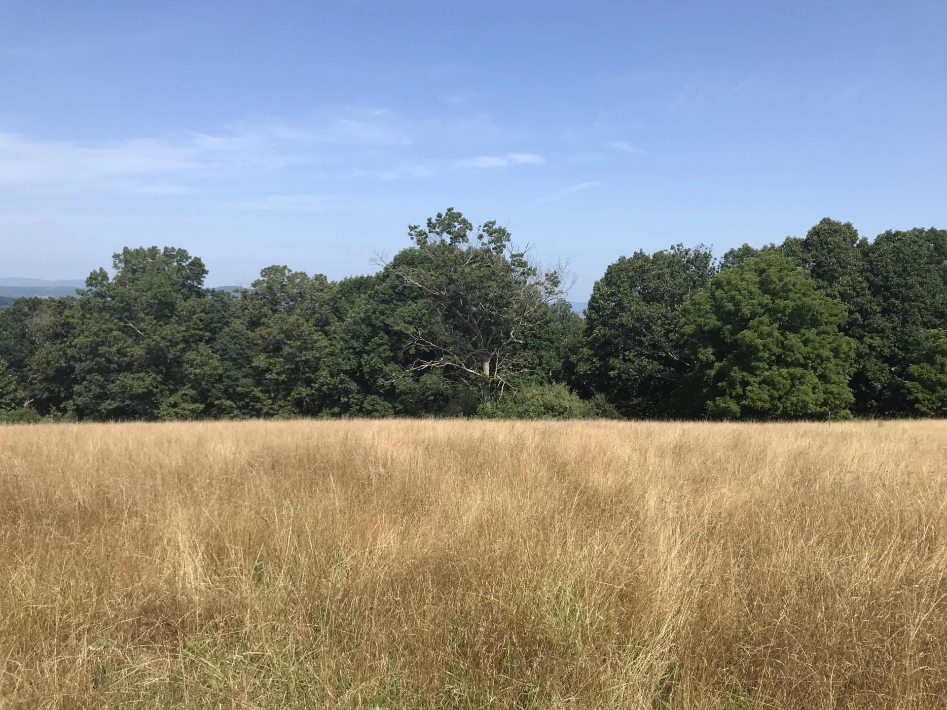 Lot 3 Longview Meadow Dr - Photo 11