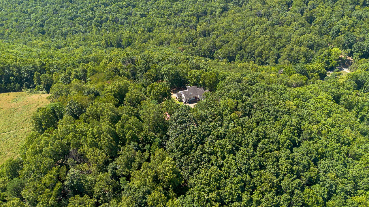 125 NICHOLAS Ln - Photo 71
