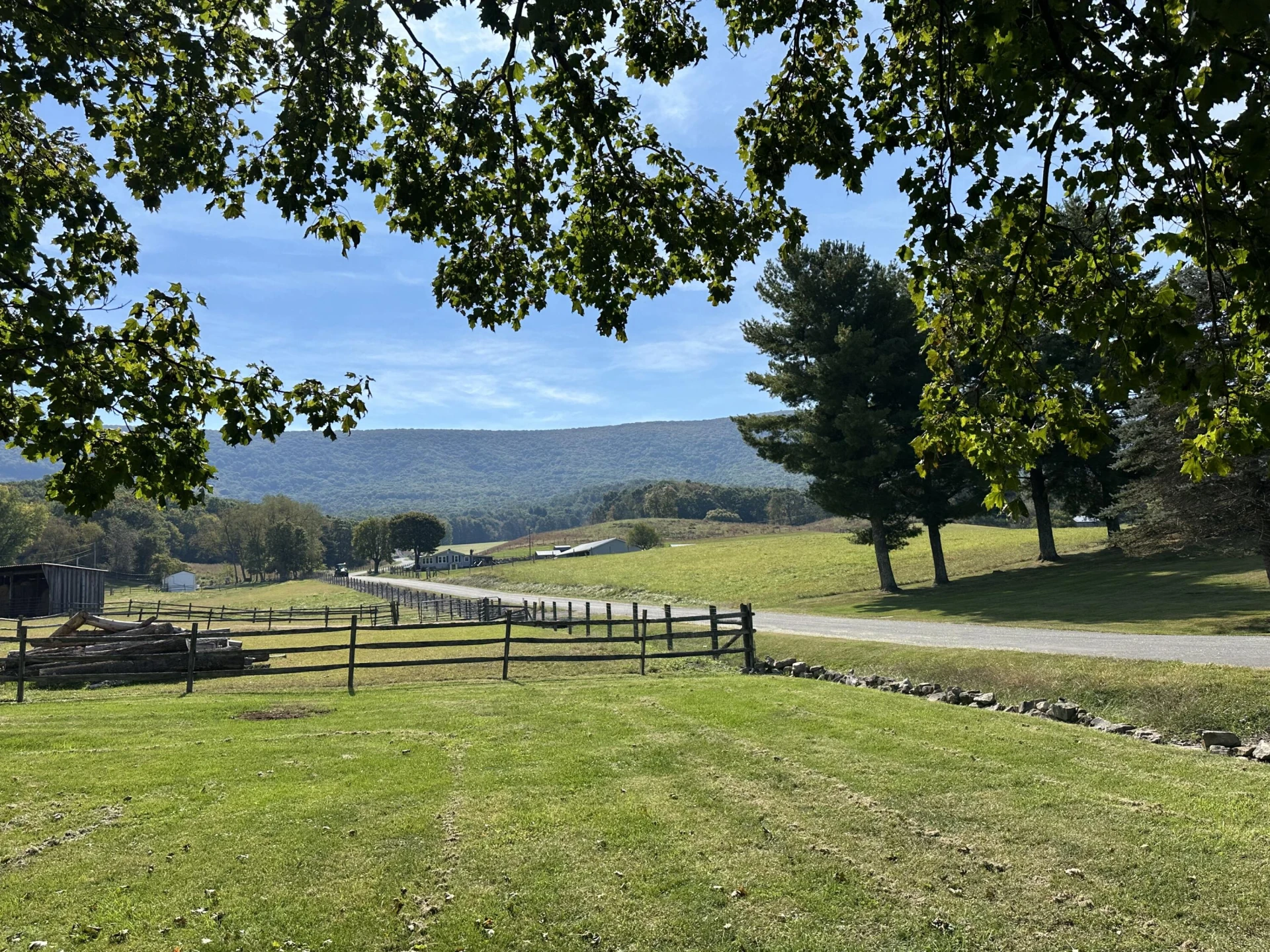 5305 Rich patch rd - Photo 11