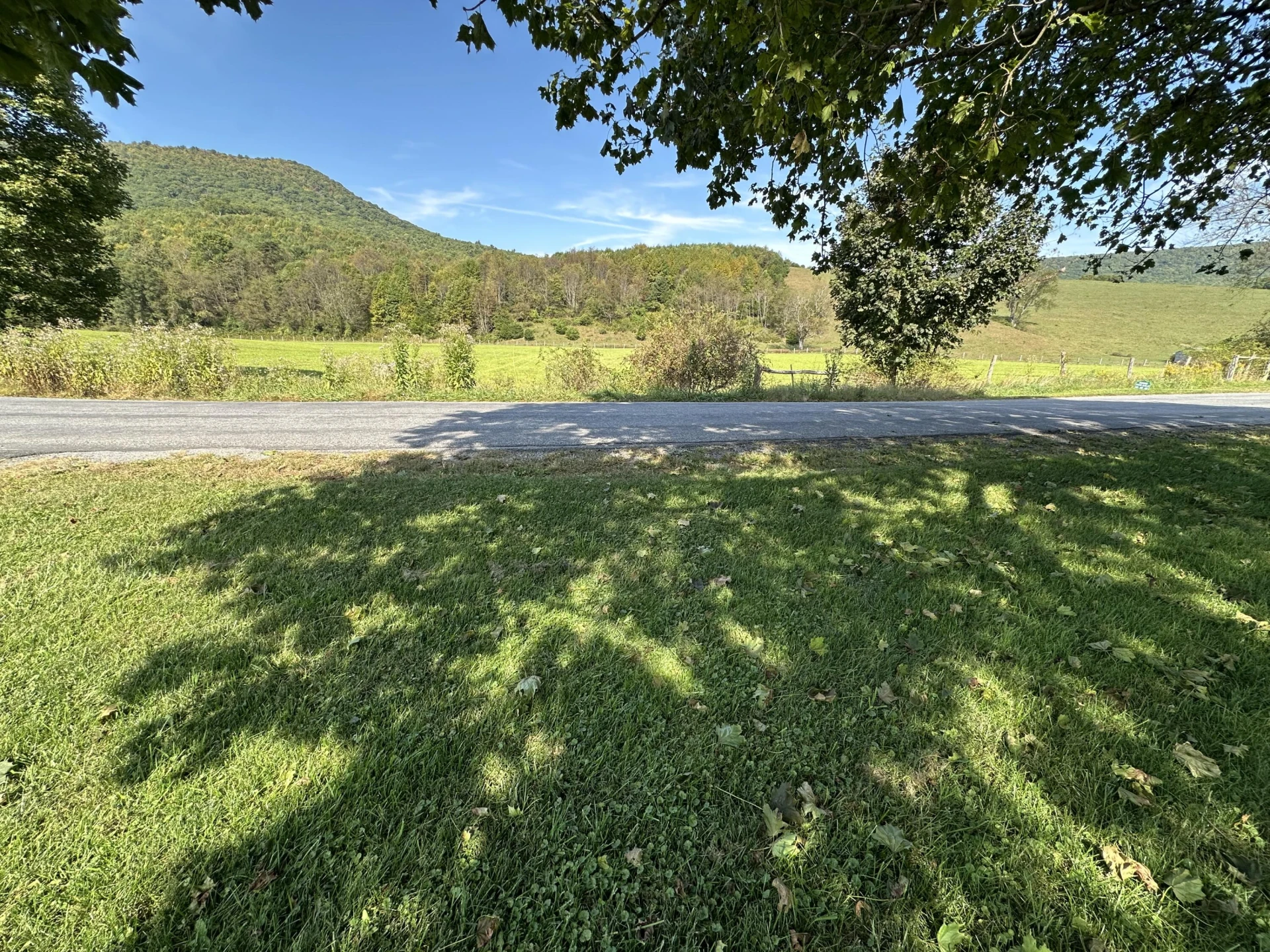 5305 Rich patch rd - Photo 12