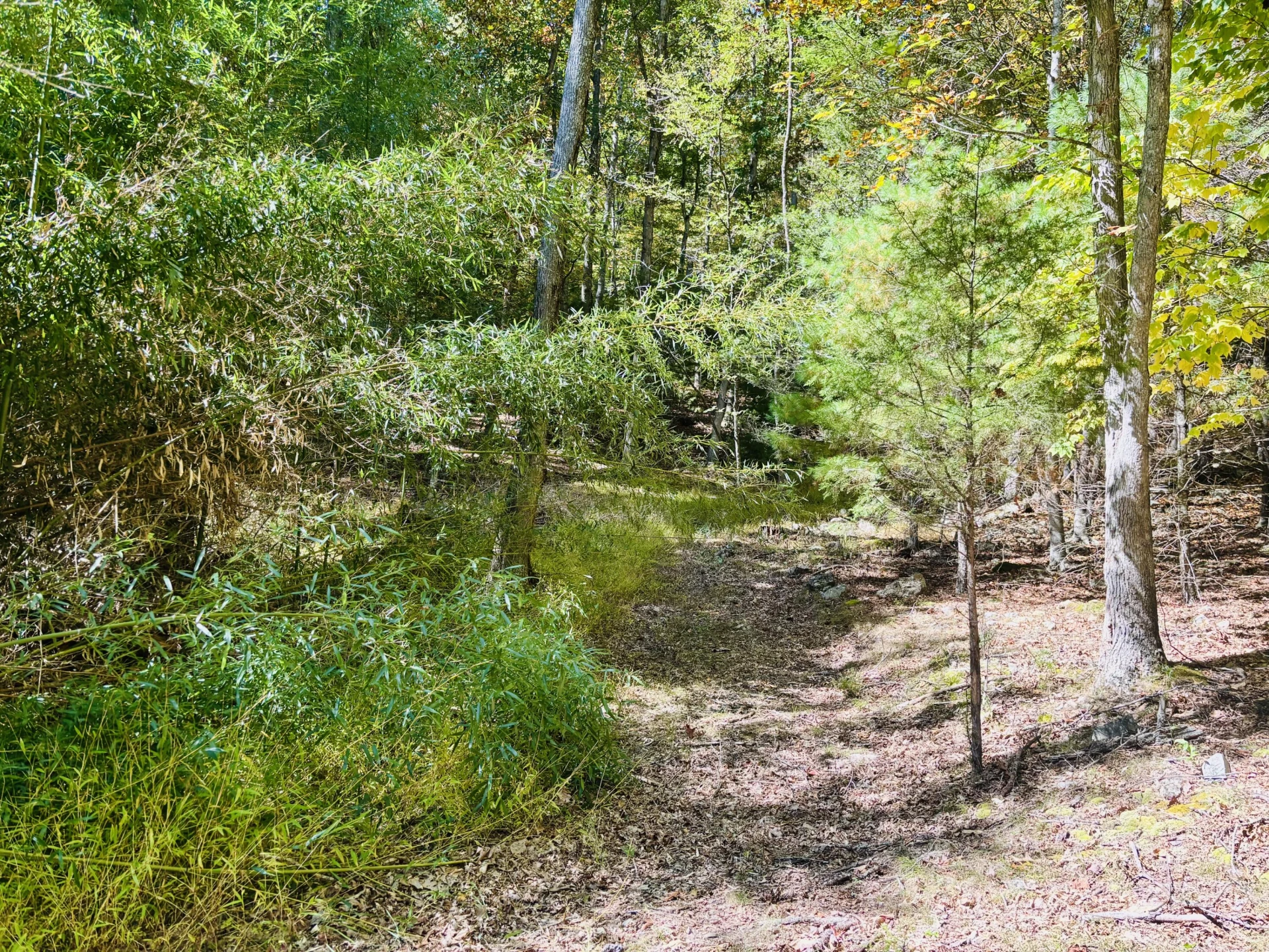 6537 Mill Creek Rd - Photo 20