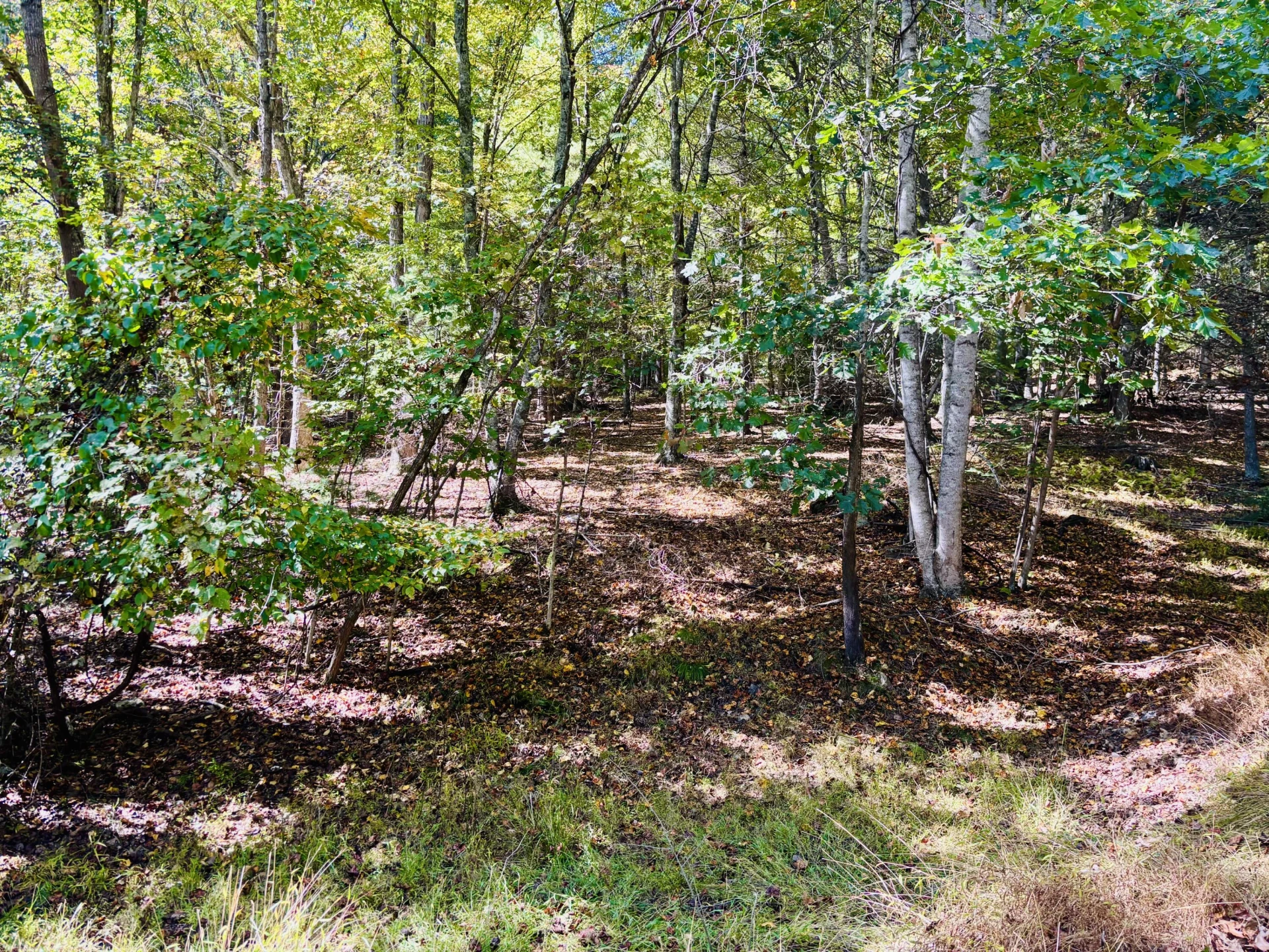 6537 Mill Creek Rd - Photo 21