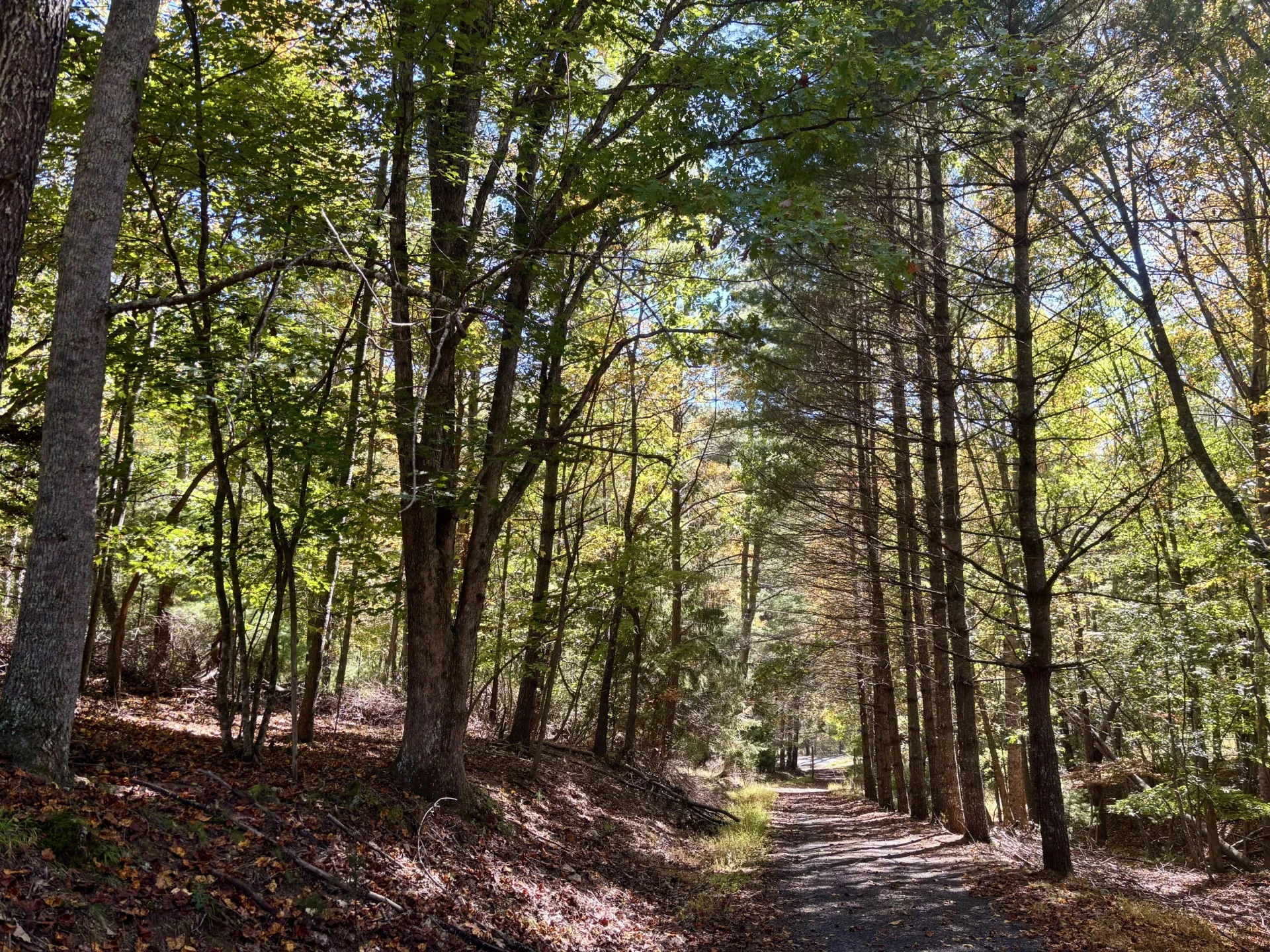 6537 Mill Creek Rd - Photo 22