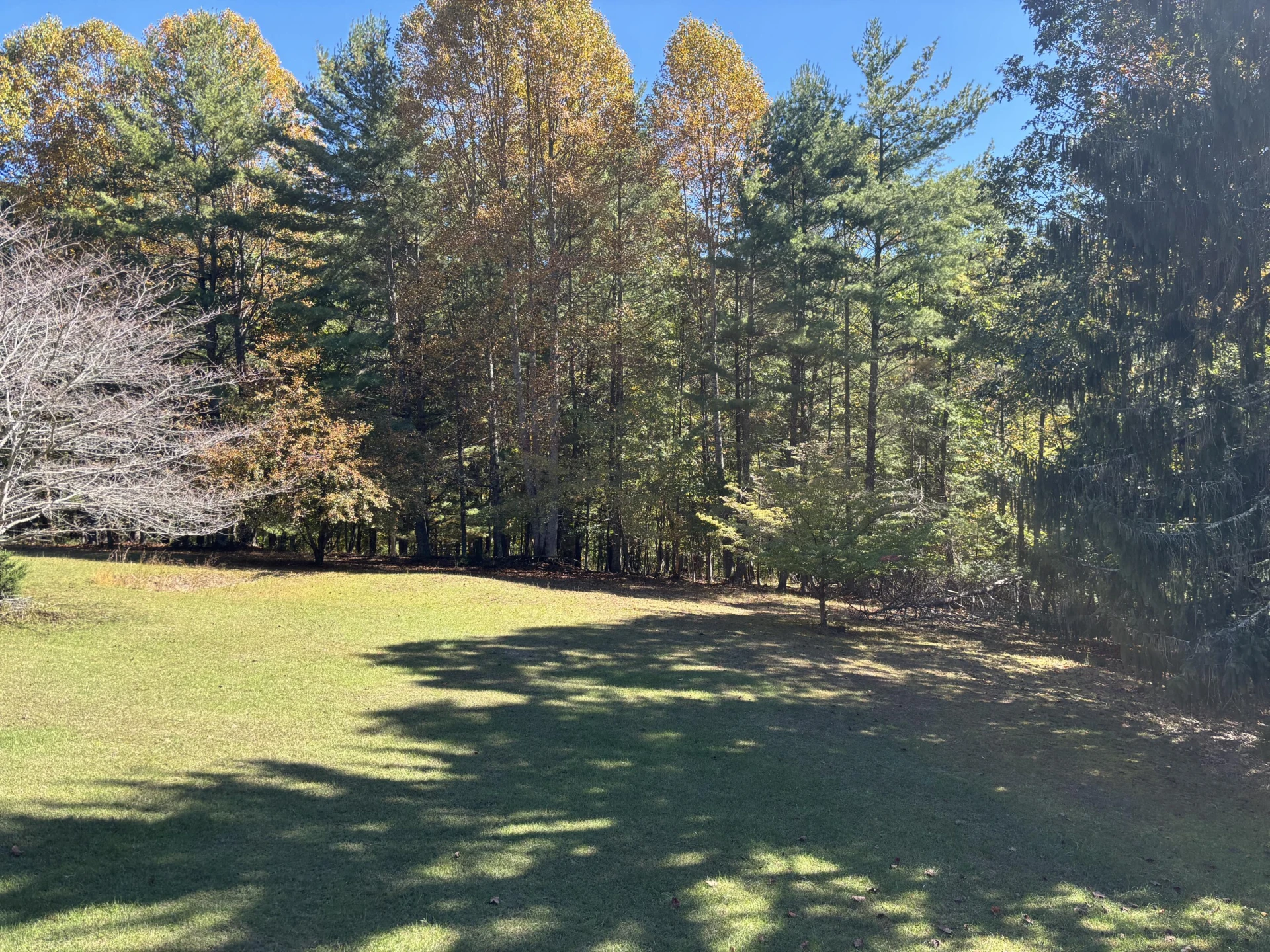 6537 Mill Creek Rd - Photo 23