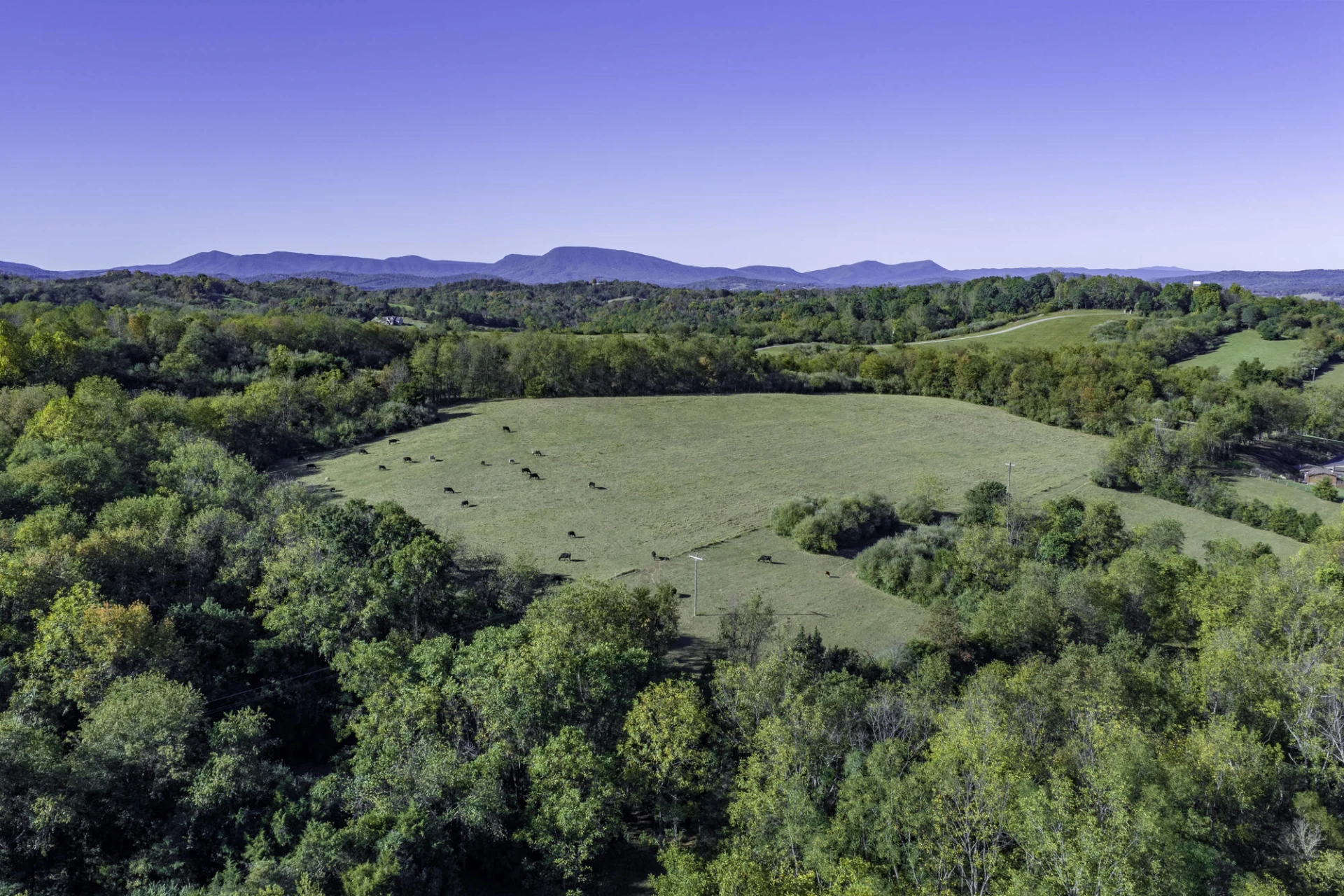 390 Blue Hills Ln - Photo 10