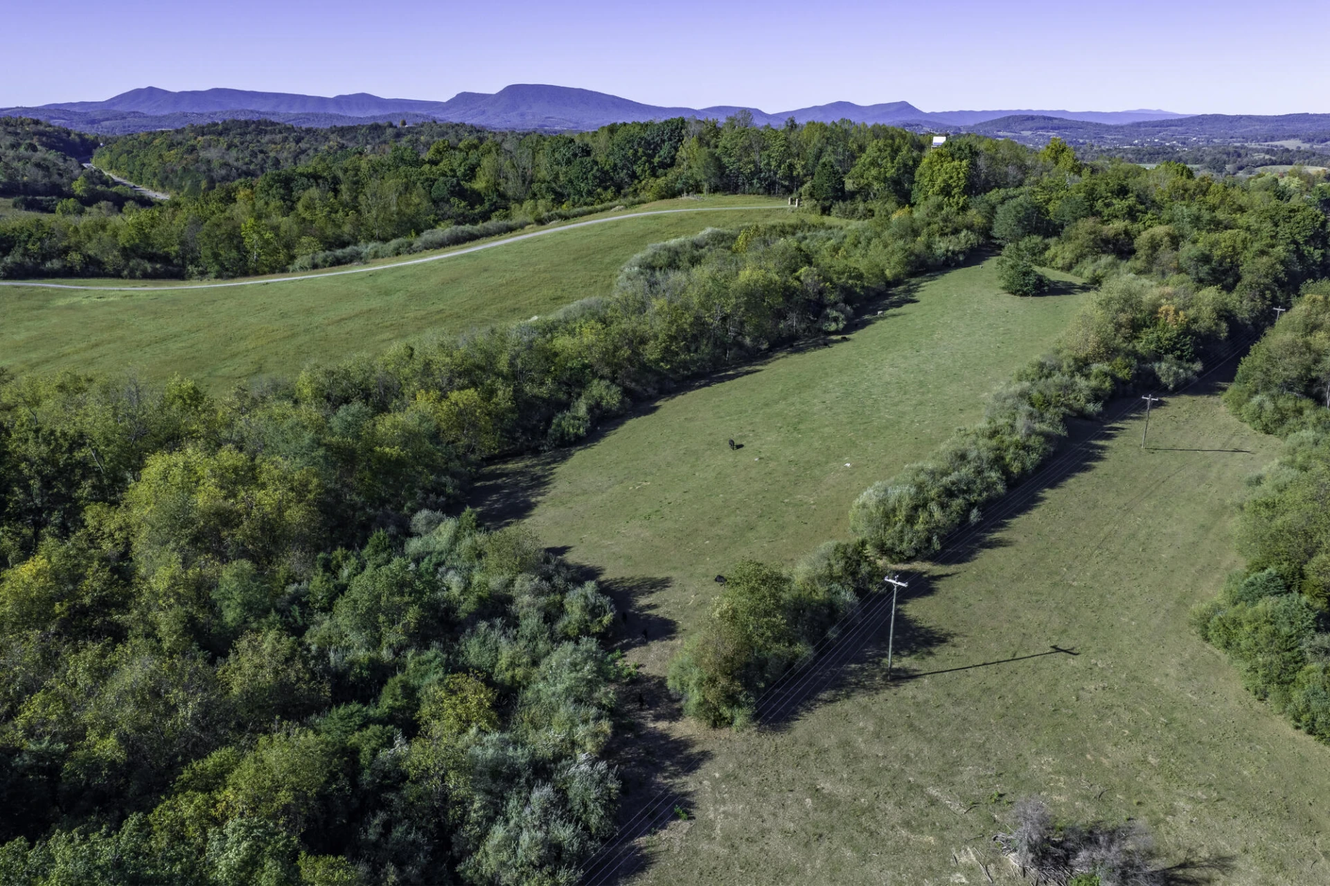 390 Blue Hills Ln - Photo 15