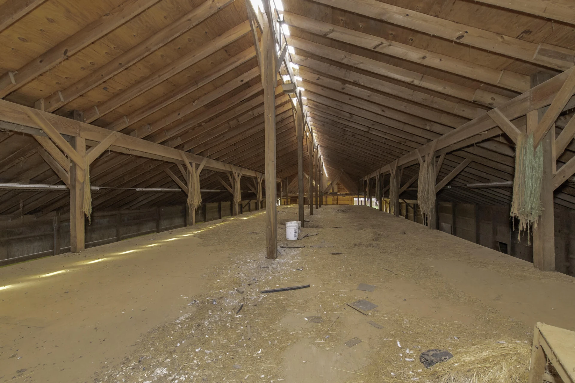 390 Blue Hills Ln - Photo 40