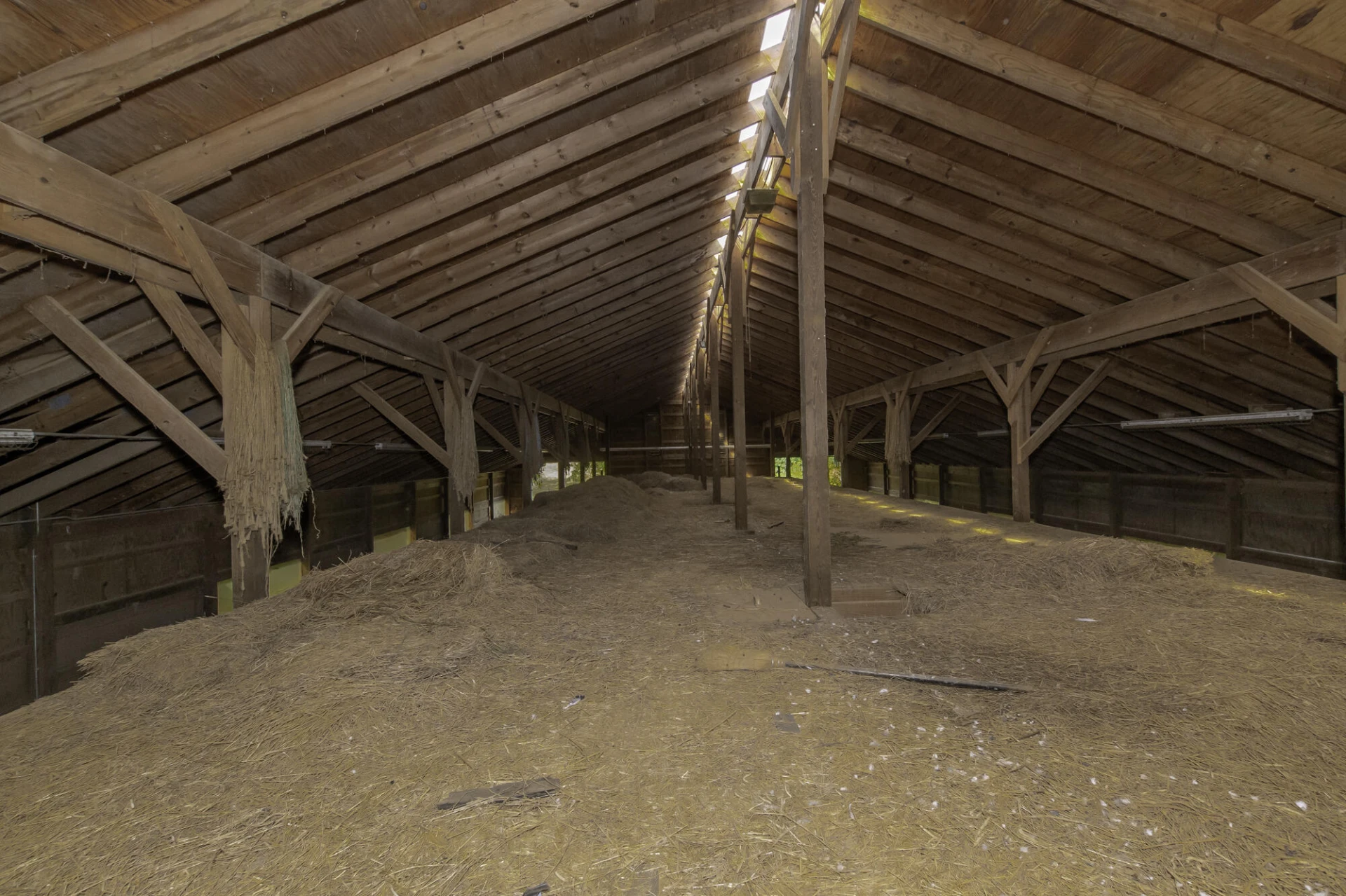 390 Blue Hills Ln - Photo 41