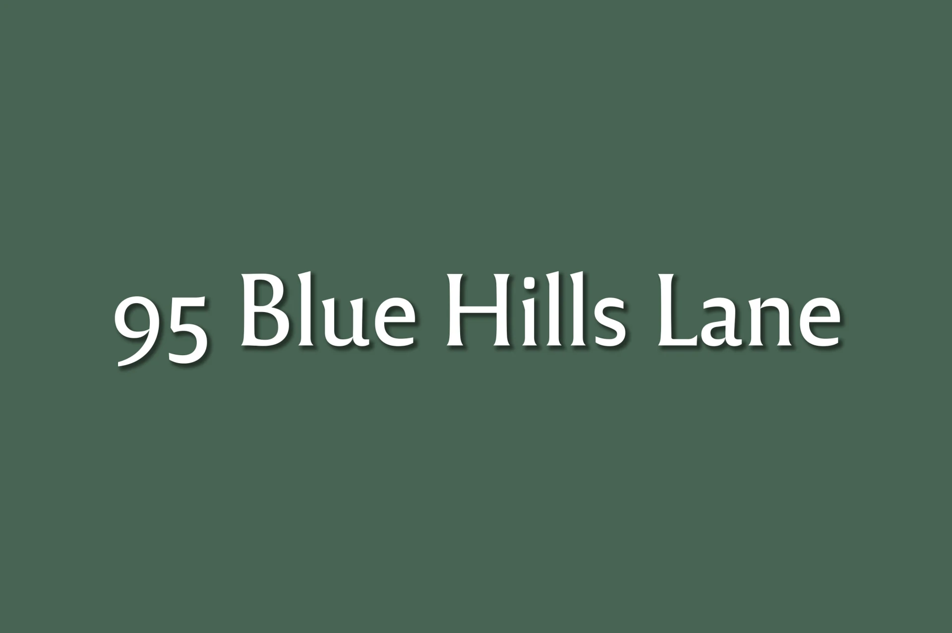 390 Blue Hills Ln - Photo 16