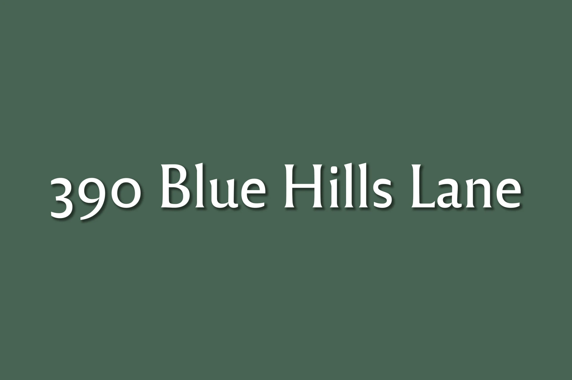 390 Blue Hills Ln - Photo 20