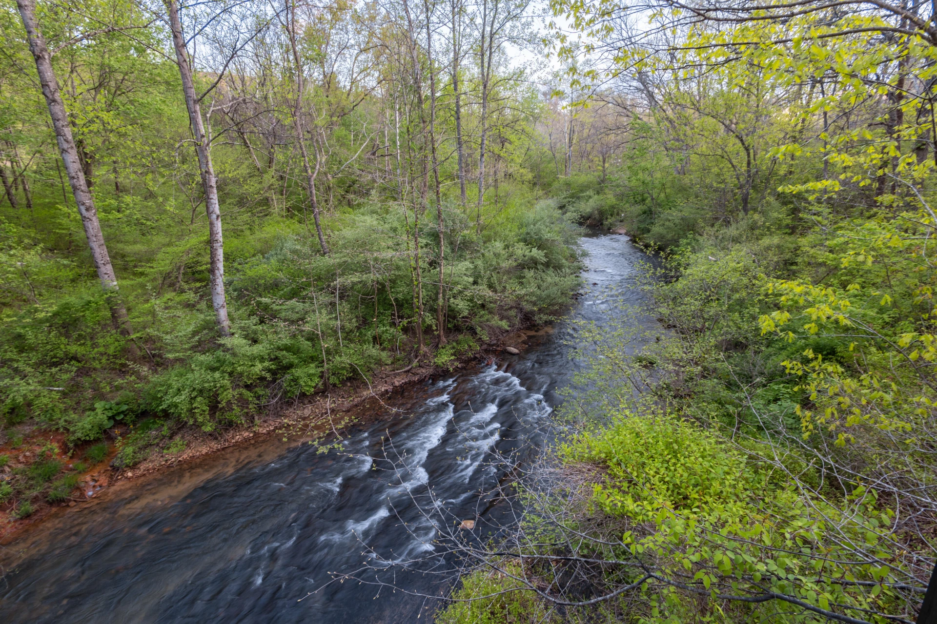 3952 BRATTONS RUN - Photo 9